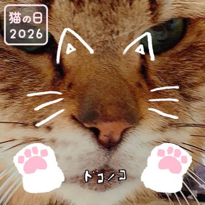 E91ee813 56cb 4d9e a78e 45b109ca3c14 1771718793197