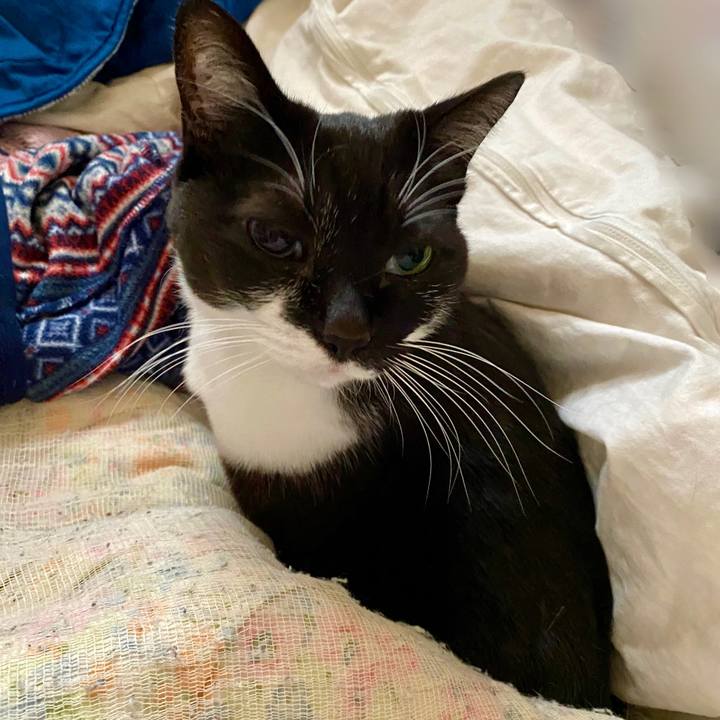 E91eefbe b8a2 44c7 b316 2bf7e5e6f9f5 1645098402989