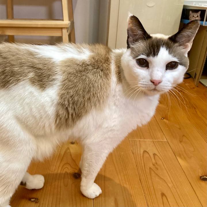 E91f0260 b228 4df9 ac7b d97d660cae3c 1671688339659