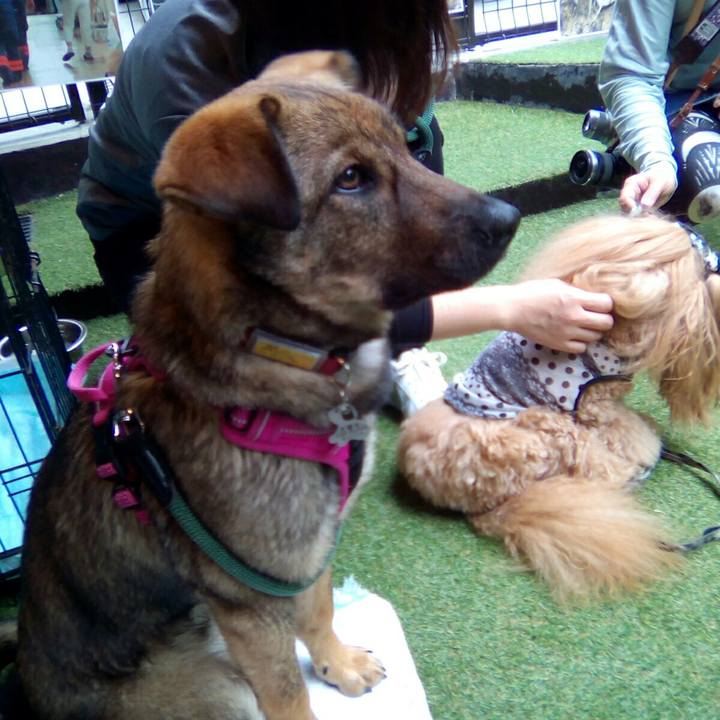 E91f1c9c 8f8a 442b a1d5 4f6d8e10c30b 1526202014909