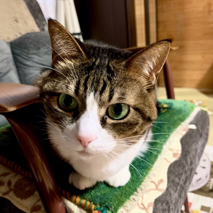 E91f4ccf 0a45 403e b0c5 4e9be5b91936 1578731898454