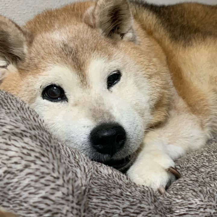 E91f9a9c d777 46a7 af29 bcf868db0c07 1686565017742