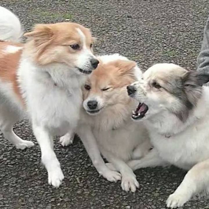 E91fba11 6b16 4933 968d 63a9d1a05951 1674906707419