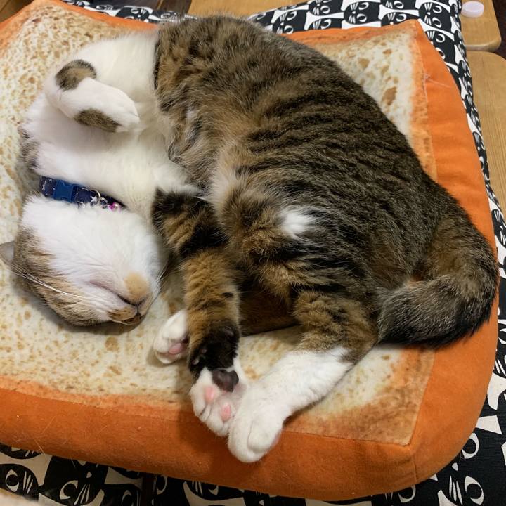 E91fd09d 0f57 4859 8a6d d704c1c8fedb 1567598247091