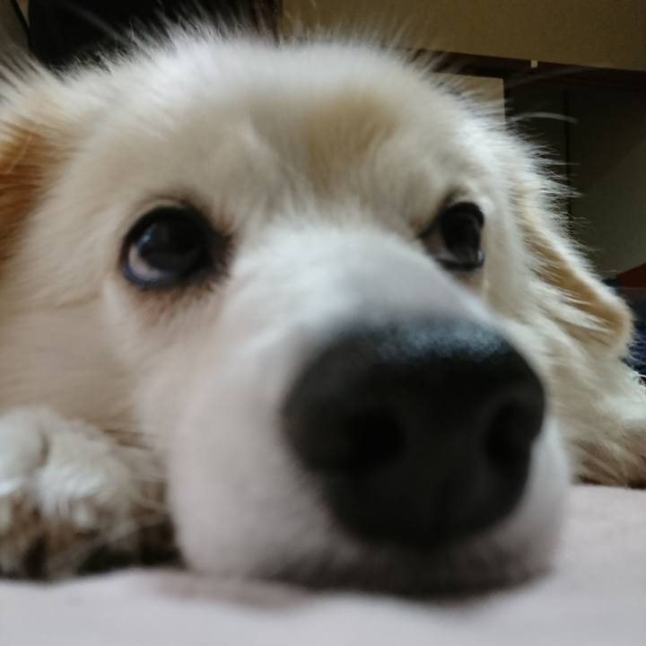 E91fdaa7 9938 44fd b340 1954a7dc0a96 1538293561015