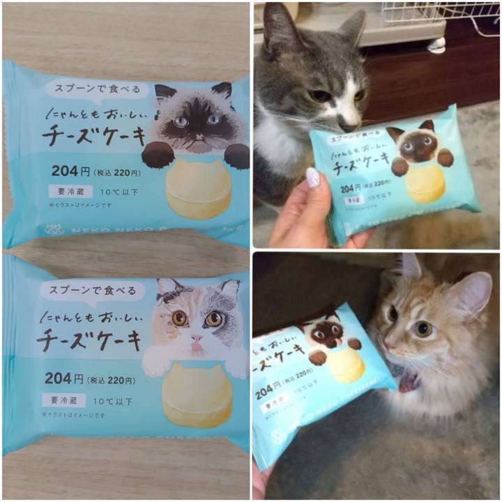 E9200234 f2e3 49d7 8fe6 5cad4080e2f3 1669025757114