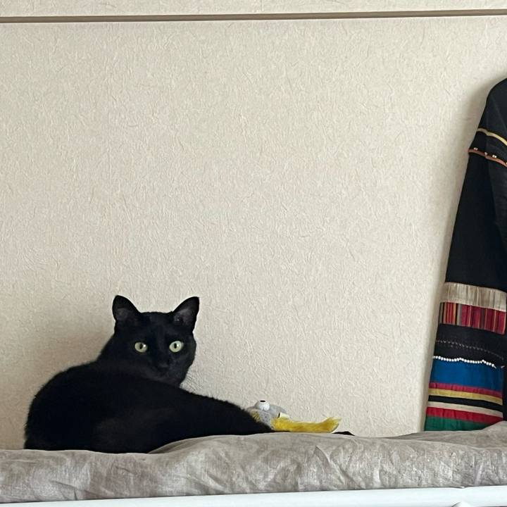 E9204614 ed05 4aaf b3c0 322d1600be7f 1716250034088