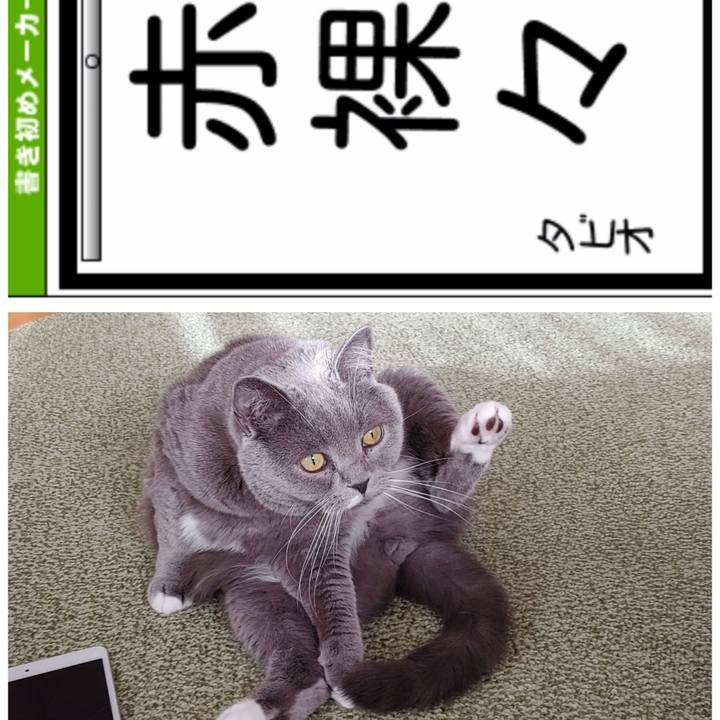 E9205a15 9222 47dd aeea 04a44a922ae1 1641019520870