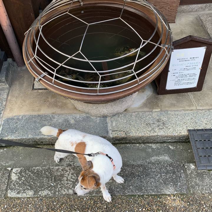 E9208e6c 2e01 4497 81f1 e57494bf3d8c 1603934008201