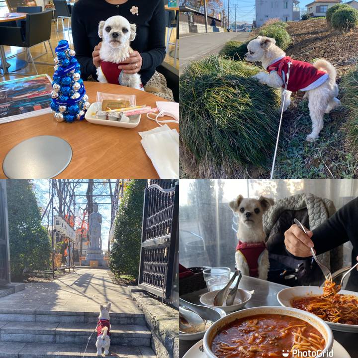 E9208f32 925c 4935 8a8f 9cf713457d7a 1639899813223