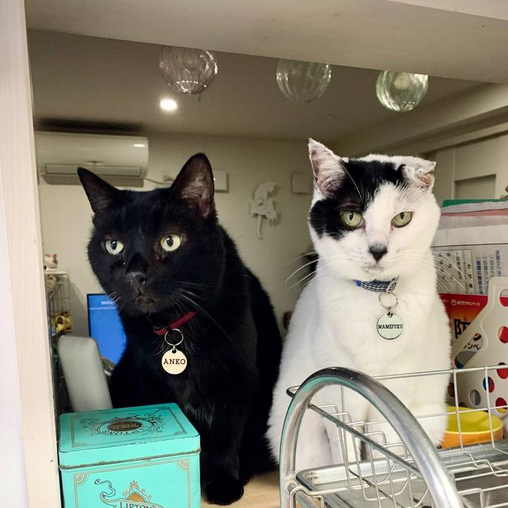 E920997f f9d0 43a5 a17f bd216784c592 1701223908383