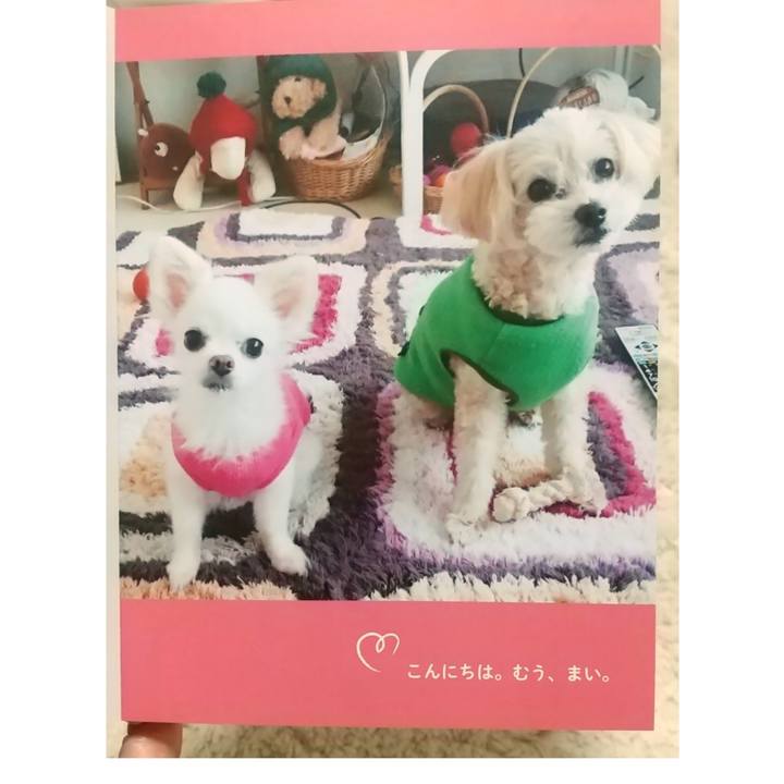 E9209aa6 d2d4 4cb7 b3c6 21fda418efd5 1626860967439