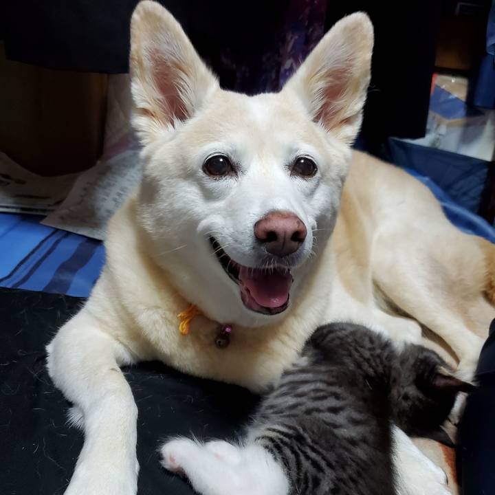 E920abd1 4cf4 46b5 9cd5 4aeee83df4d2 1626356167953