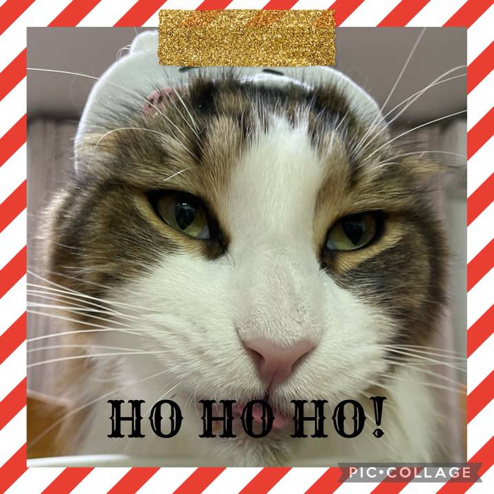 E920e149 6e74 47d4 a9e9 a0b0c21b34e5 1703405278169