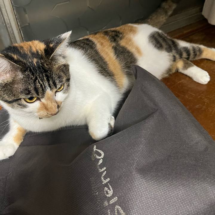 E921275c 1d8c 4164 abd9 f47a515df92c 1755009689614