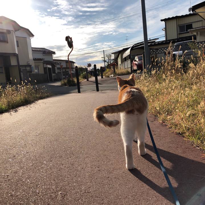 E9212f92 c015 423d a736 812d6a9ee96f 1543037681272