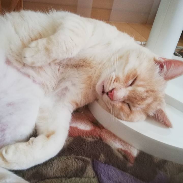 E9214c03 a223 4ec6 a1d0 56778357f959 1685272796193