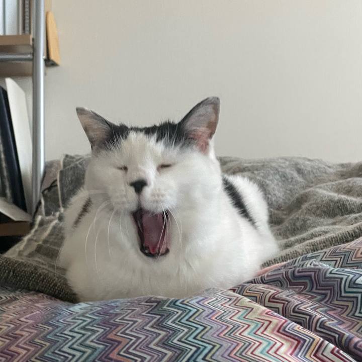 E9217f1e 5e32 488b a087 9ccb67d6905c 1669246659111