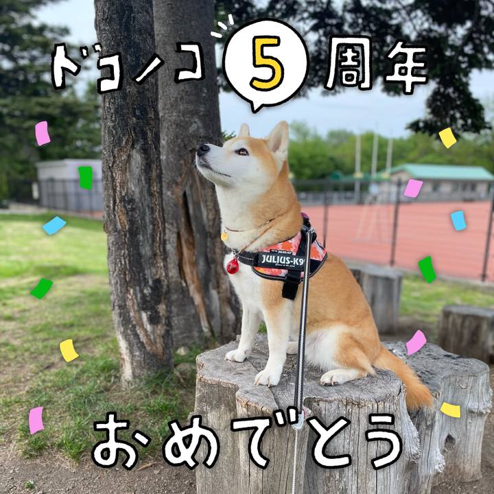 E921849e 3dd8 473d a468 6c3d79db4cfc 1622951317793