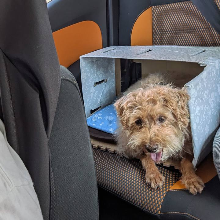 E9218929 8881 4fd0 98a8 9ce865281a53 1752102992979