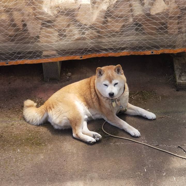 E9219638 4a65 4842 bd08 51b7506f3730 1714276140427