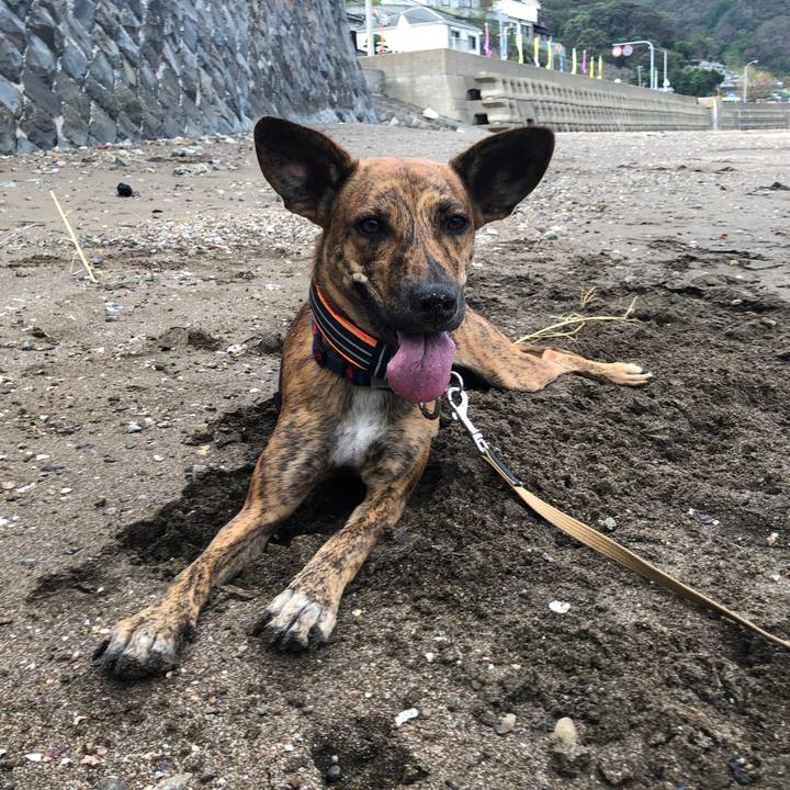 E921afb1 a3f6 4ca7 a62d 944eb686319a 1600773881489