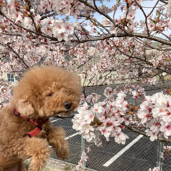 E921cd6b 1d95 4bef 8900 cdd76c7135fa 1680571647260