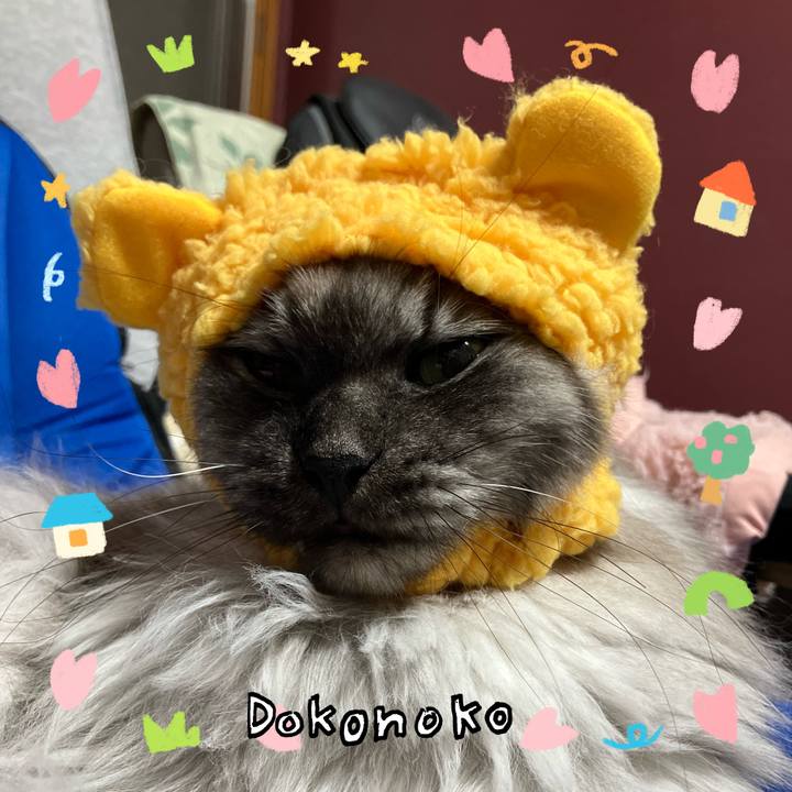 E921d98a c4a2 4c35 9b3b 9131eeb735a8 1741508681465