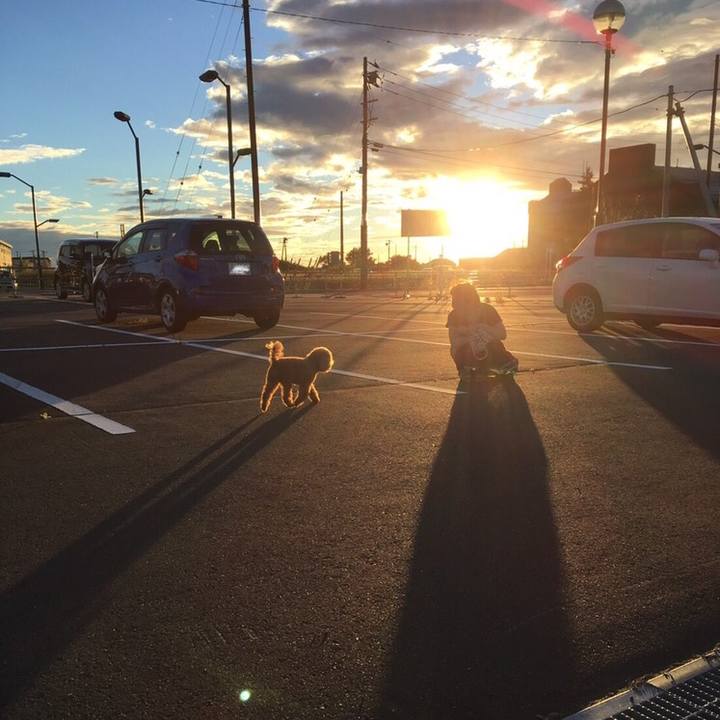 E9220164 8677 4410 8096 ed14b73d0601 1534602814967