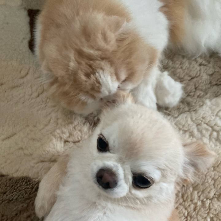 E92206f8 da7e 4b50 a0e1 a32a2bec8725 1668948488118