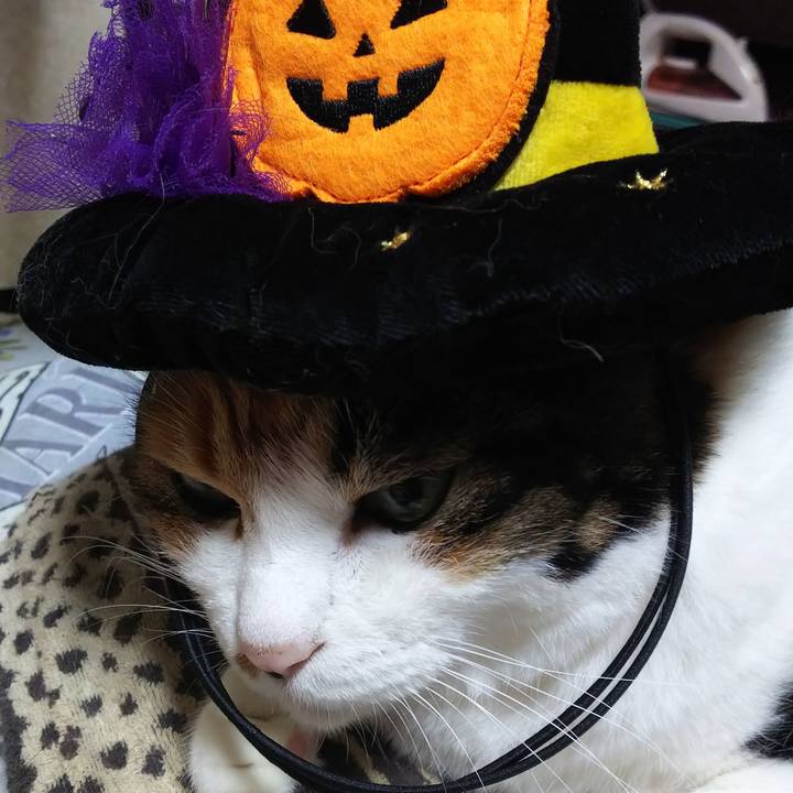 E922122e 8652 4710 9e56 657d0d545bd1 1570878777307