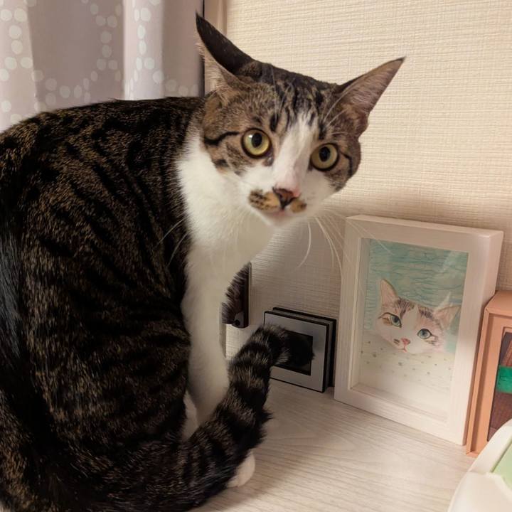 E922850e 7706 47d0 8cb1 2f70e6251470 1760677102185