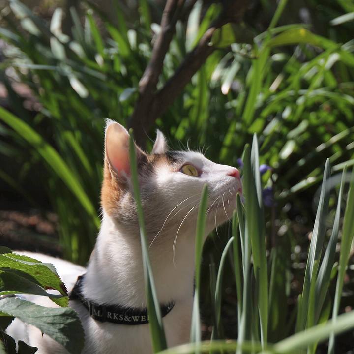 E9229845 5e35 46f5 8f33 033955137ee6 1566200816310