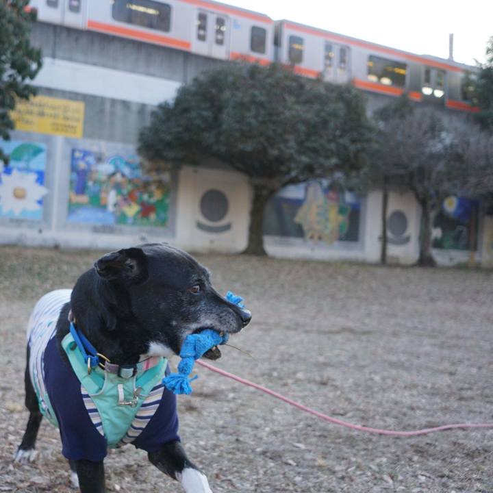 E922b6e8 3038 4cd1 a1e8 9f4086e440fb 1769993346914