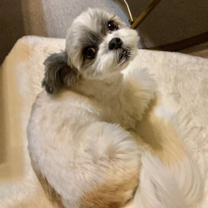 E922ba13 6b0f 4f7b ab44 dfdc283b1739 1606639663843