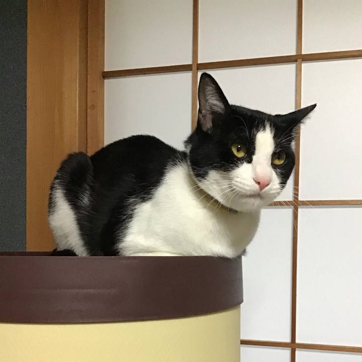 E922ee8b f2fb 488d 95cb acfcc92f028f 1652084717537