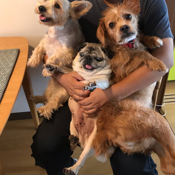 E922f4a4 1738 46cc 9fcc 98230ce637a4 1594863873015