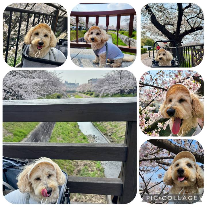 E92303cf c051 48d1 963f 7953db3663a6 1774847227754