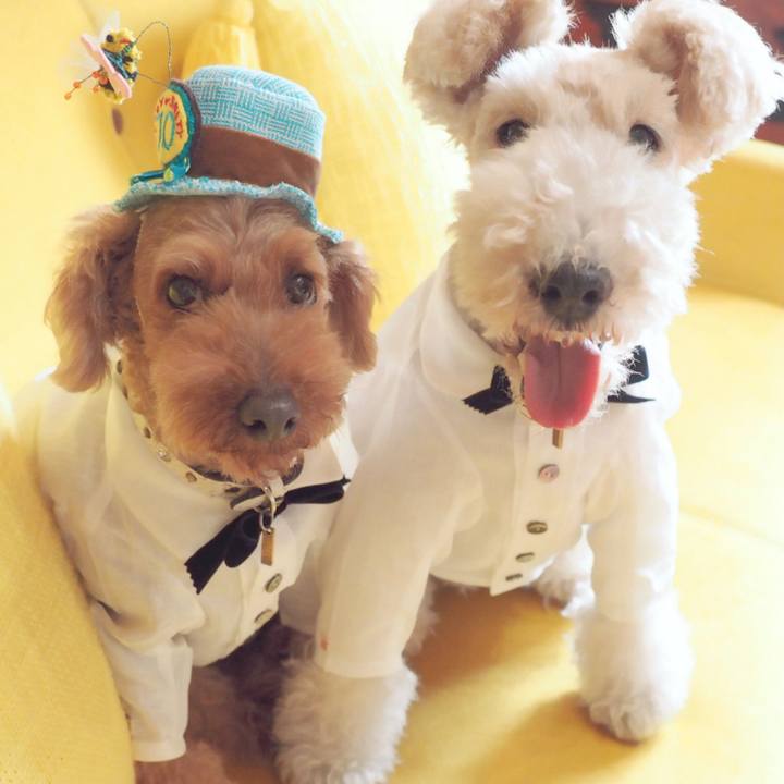 E9230974 9138 4eed b125 6460d56bbf35 1623858994759