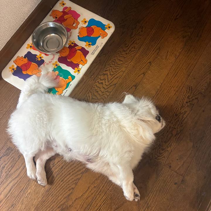 E92312e3 66ff 48f0 98c2 6068b3dcd049 1754870584774