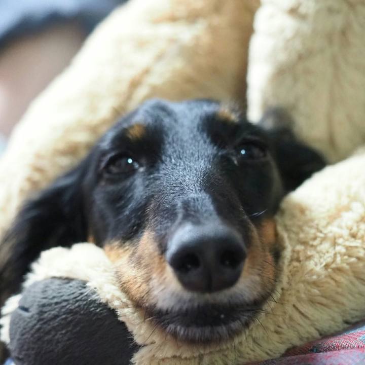 E9233008 a9e3 4be3 821f ea498d5b04f2 1556691113857