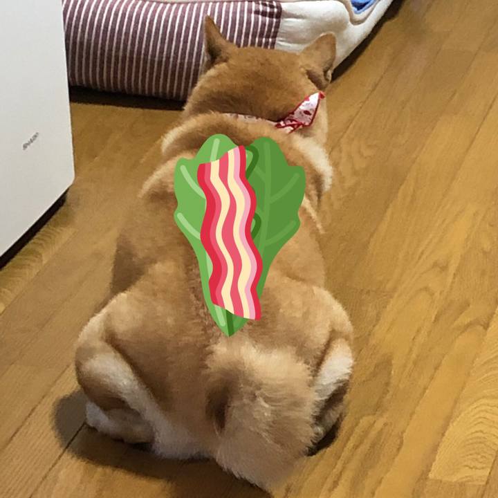 E923383c 7806 4f48 8d2c 59a1b0eef270 1563525708751