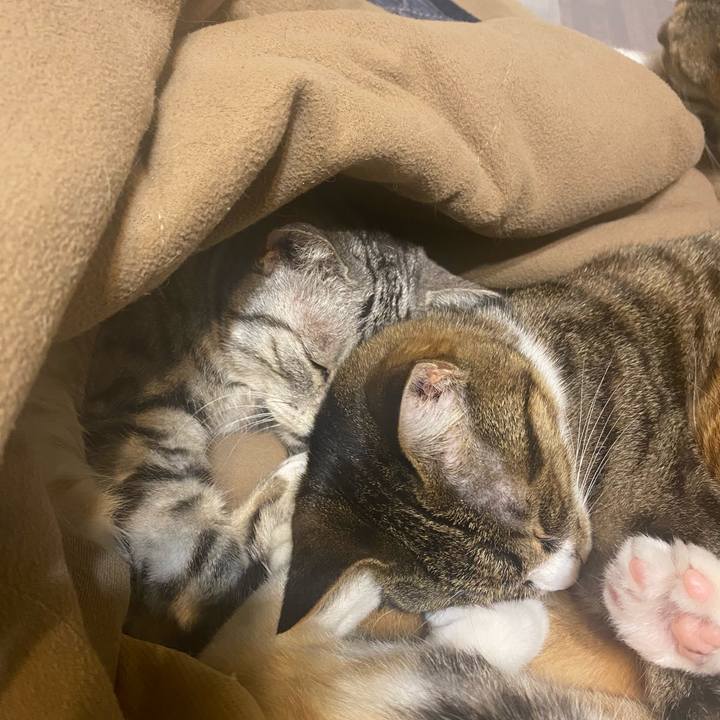 E92390a4 bfc3 4563 ad4a d089c7434a86 1615232335085