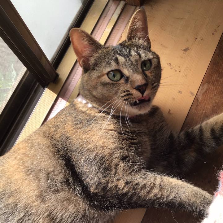 E923a620 09ad 4e0b a3ab e71e0c516c76 1597809205269