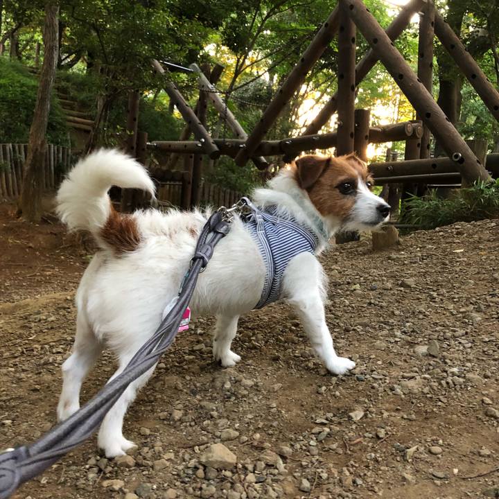 E924013a 58e0 4562 ae36 2ce358c1367f 1527972808557