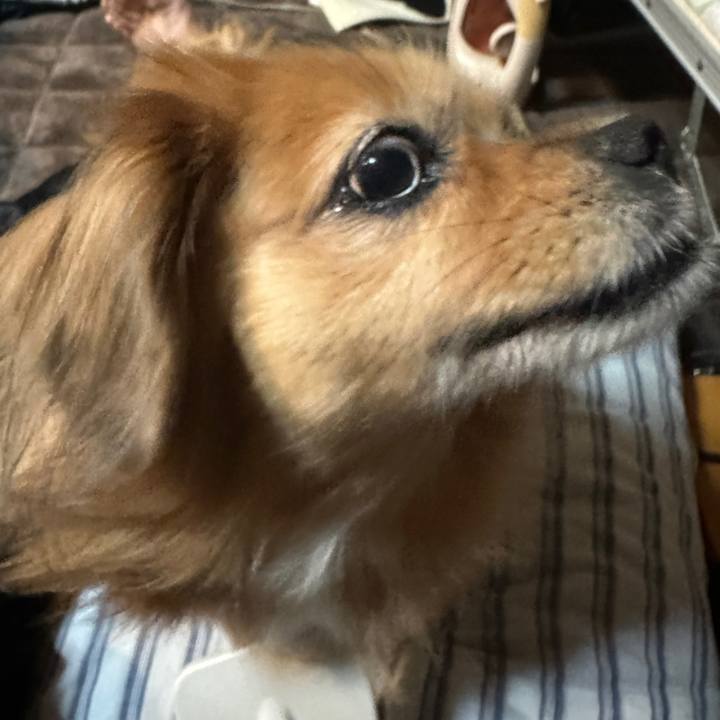 E92422a2 d899 4374 84a6 204a967c5c76 1730576239294