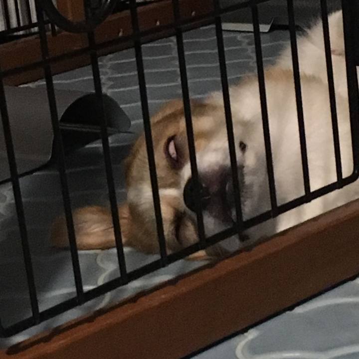 E924240c 167d 479d 8cae 94847967b212 1563667269458