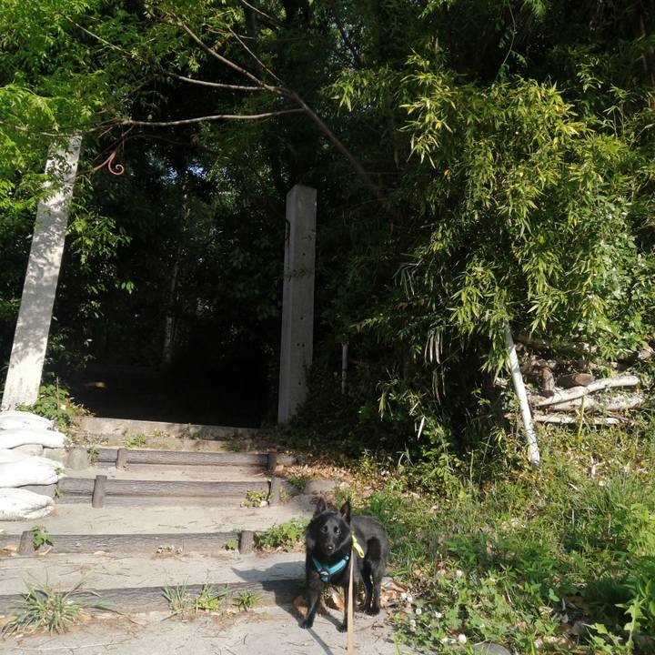 E924545f 450f 4fb4 b158 9f9bc2c8e92a 1651613981117