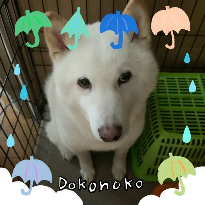 E92454bd 6f7c 4c2a a694 81ca5bbcfa2e 1717835299184