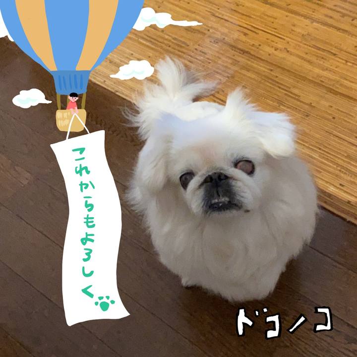 E92485b6 a14b 498c 80bf c1dd0b795a7a 1685944557307